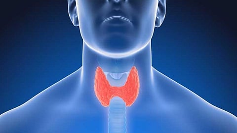 തൈറോയ്ഡ് പ്രശ്നങ്ങൾ പുരുഷ വന്ധ്യത കൂട്ടുന്നു