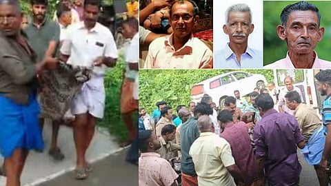 കാട്ടുപോത്തിന്‍റെ ആക്രമണം: മരിച്ചവരുടെ കുടുംബത്തിന് 10 ലക്ഷം ധനസഹായം 