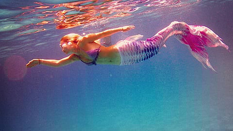 മത്സ്യകന്യകയായാൽ മതി!  നീന്തിത്തുടിക്കാൻ ജോലി ഉപേക്ഷിച്ച് അധ്യാപിക (Video)