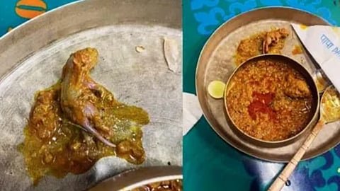 മുംബൈയിൽ ചിക്കൻ വിഭവത്തിൽ എലിയെ കണ്ടെത്തിയതിനെ തുടർന്ന് എഫ്ഡിഎ വിഭാഗം നഗരത്തിലെ ഹോട്ടലുകളിൽ പരിശോധന ആരംഭിച്ചു