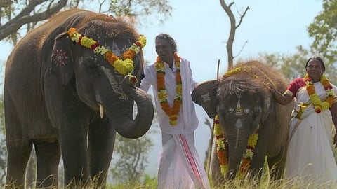 A still from Elephant whisperers