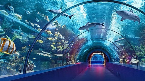 ഇന്ത്യയിലെ ആദ്യത്തെ അക്രിലിക് അണ്ടര്‍ വാട്ടര്‍ ടണല്‍ അക്വേറിയം കൊല്ലത്ത്