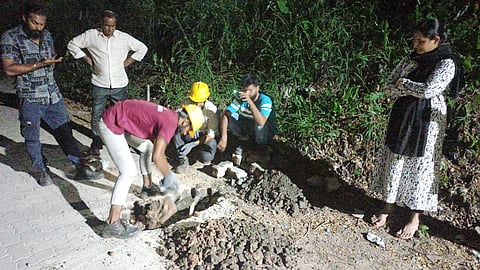 ഗെയിൽ പൈപ്പ്ലൈനിൽ ചോർച്ച കണ്ടെത്തിയ ഭാഗത്ത് അറ്റകുറ്റപ്പണി നടത്തുന്നു.