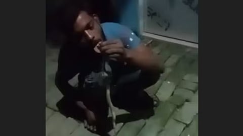 Rohit Jaiswal playing with a snake while under the influence of alcohol
