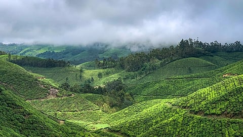 അപ്രതീക്ഷിത കാലാവസ്ഥാ മാറ്റം: തണുത്തുവിറച്ച് മലയോര മേഖല