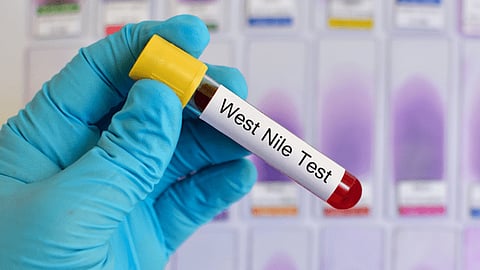 11 west nile fever cases in kerala