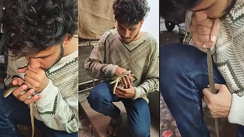 man saves snake life by cpr viral video