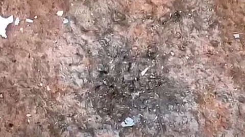 explosive blast at road in panoor kannur