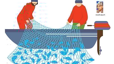 Revolutionary transformation in the fishing sector