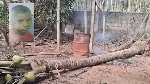 five year old boy died after coconut tree falls into him