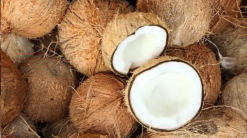 woman electrocuted while using coconut scraping machine