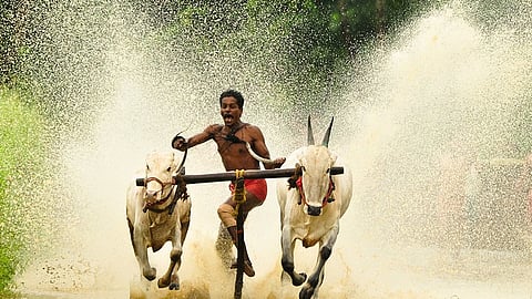 kerala to introduce new ordinance to make maramadi legal