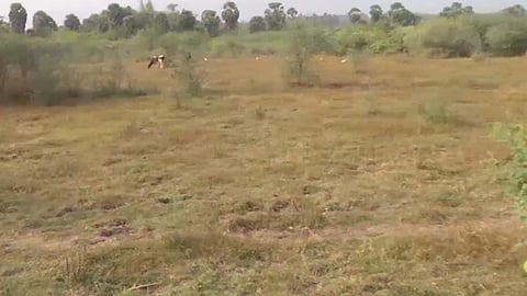 Agriculture Department: Government to build malls on wasteland
