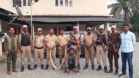 54 year old man arrested with elephant tusks in assam