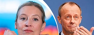Alice Weidel, Friedrich Merz