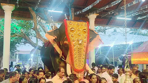 Robotic elephant mala temple