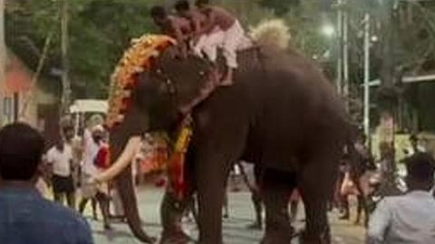 Elephant violent during Makkalikau temple festival
