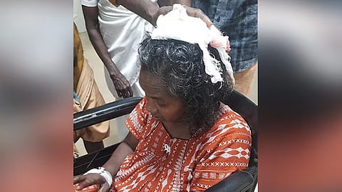 wild boar attack woman injured