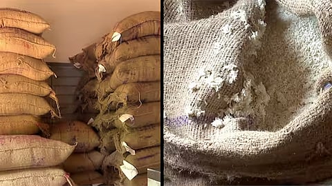 worm infested rice distributed at a ration shop in kozhikode 