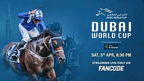 dubai world cup 2025: main race at 9.30pm