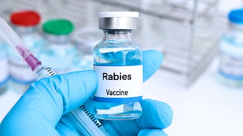 rabies infection after vaccination 13 year old girl dies of rabies confirmed