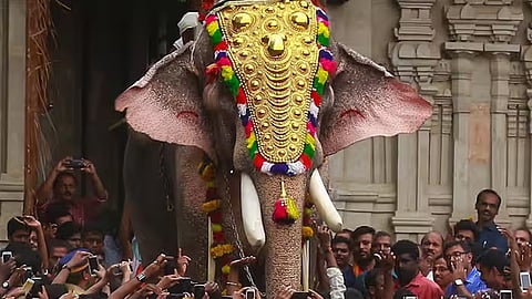 thechikkottukavu ramachandran would not be present in thrissur pooram 2025