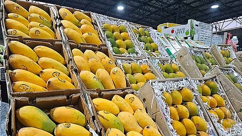 mango festival in sharjah from june 27