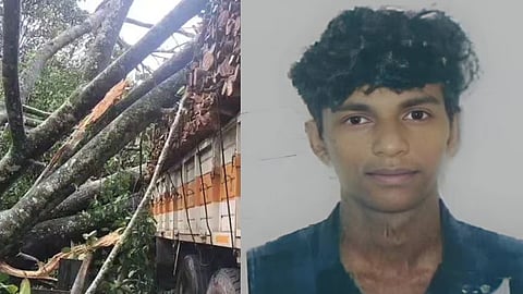 tree falls on lorry one death