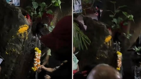 Miraculous water from a tree, locals worship and pray; finally the secret is revealed!!
