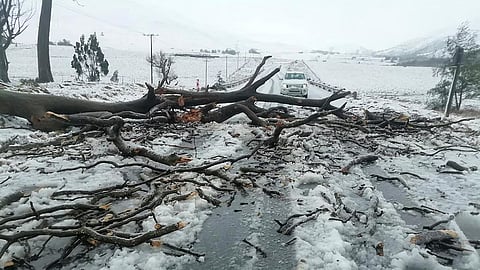 School bus swept away as heavy floods and snow hit South Africa
