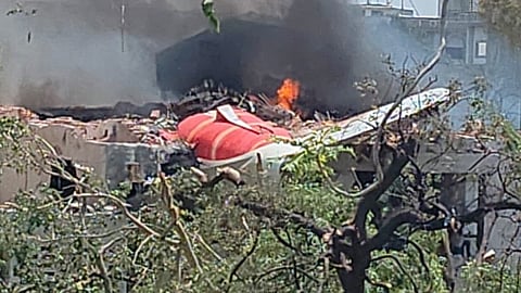 Gujarat plane crash may be due to multiple bird hit, experts says