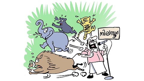 വന്യമൃഗ ശല്യം ഗൗരവമായി തന്നെ കാണണം | Human animal conflict