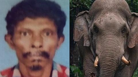 man killed in wild elephant attack Nilambur