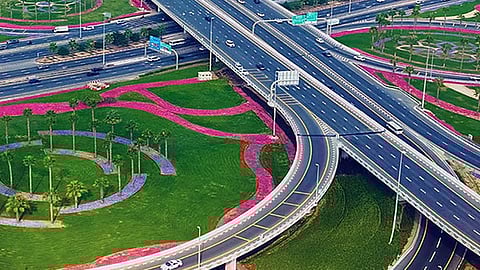 Greening: Dubai Municipality launches Dh190 million project