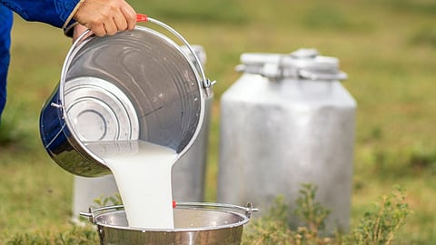 Non-Veg Milk Is A Blocker In The Billion Dollar India-US Trade Dea