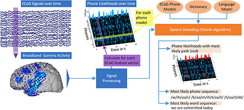 Australian scientists turn brain waves into text