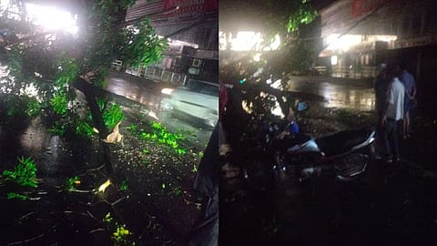 kozhikode strong winds cause heavy damage