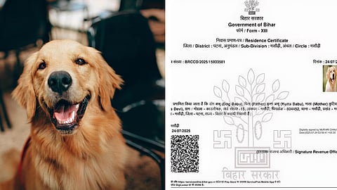 Bihar Issues Residence Certificate To A Dog