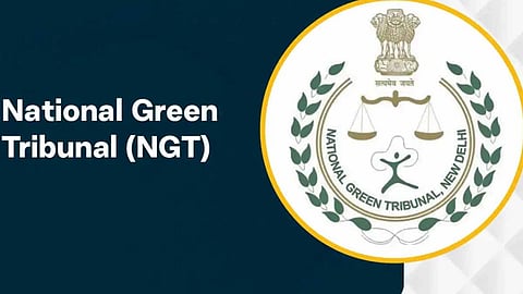 National Green Tribunal registers case against tree felling in Idukki's Shanthanpara