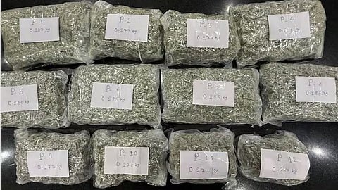 Coimbatore airport  7 crores worth hydro cannabis  