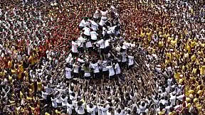 Maharashtra celebrates Dahi Handi