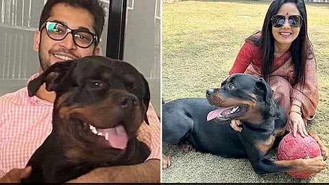 Mahua moitra approaches court over custody pf pet dog