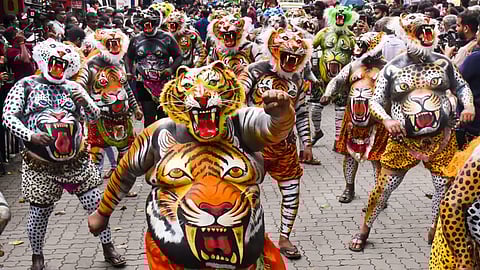 financial support to pulikali; govt sanctioned fund