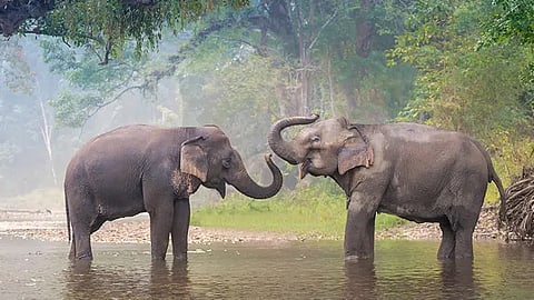 Wildlife Protection Amendment Bill is of fundamental importance