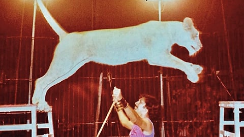 special story about zubeen garg