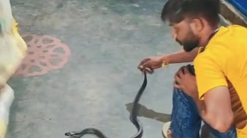 Man dies of snakebite while filming video in UP's Muzaffarnagar