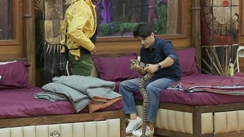 Snake in biggboss house