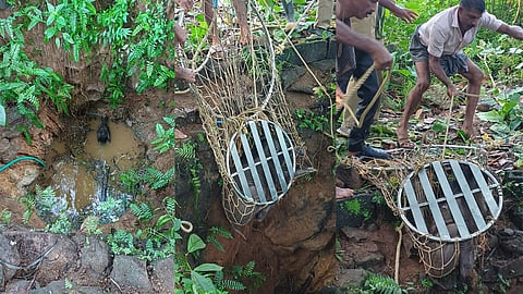 Kothamangalam Fire Department rescues wild boar that fell into well