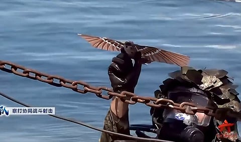 Mechanical bird drone