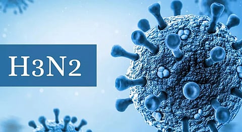 H3N2 virus variant: Health experts warn